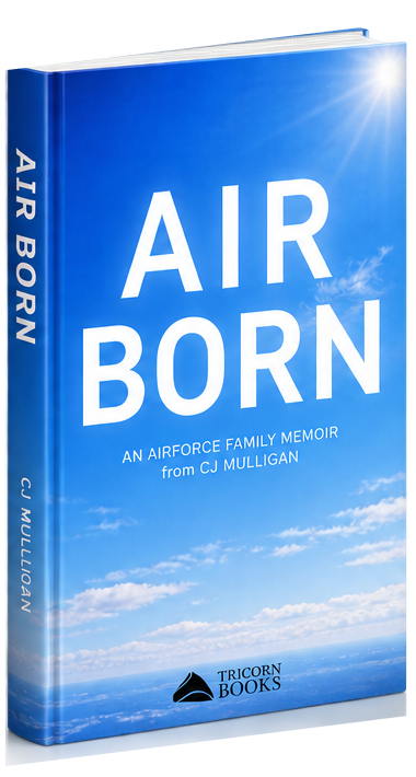 Air Born book cover